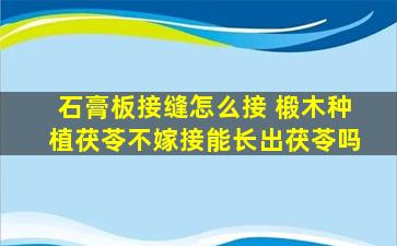 石膏板接缝怎么接 椴木种植茯苓不嫁接能长出茯苓吗